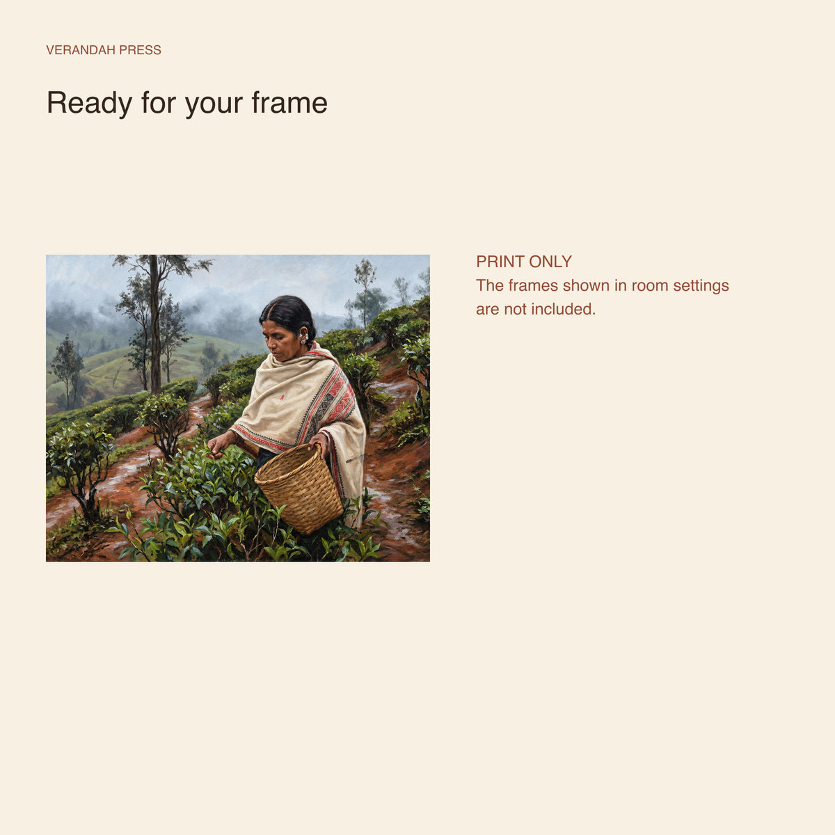 The Family Tea Plot, Nilgiris (unframed print)